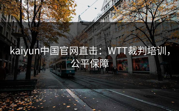 kaiyun中国官网直击：WTT裁判培训，公平保障